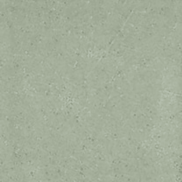 CIM34909